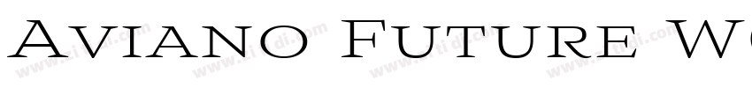 Aviano Future W01 Re字体转换 Aviano Future W01 Re字体转换